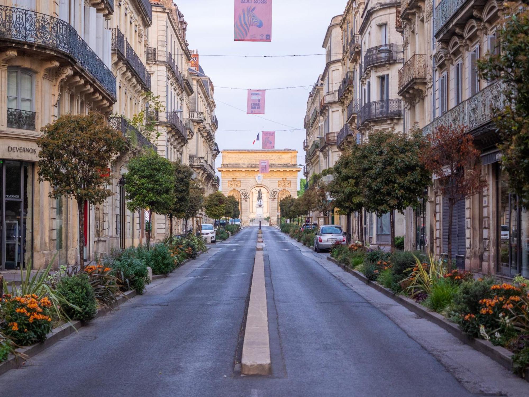 Le Platane De La Canourgue Montpellier Luaran gambar