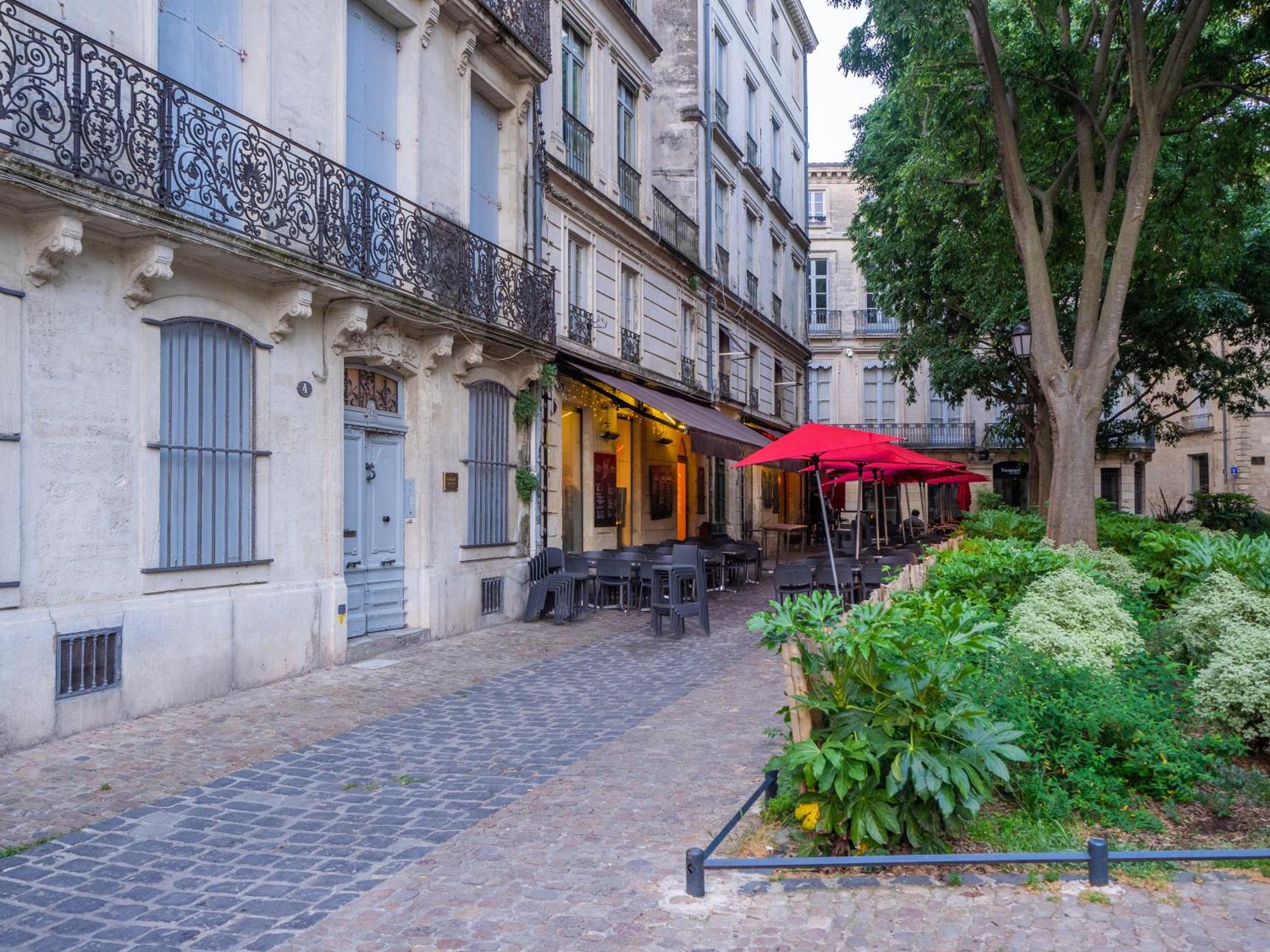Le Platane De La Canourgue Montpellier Luaran gambar
