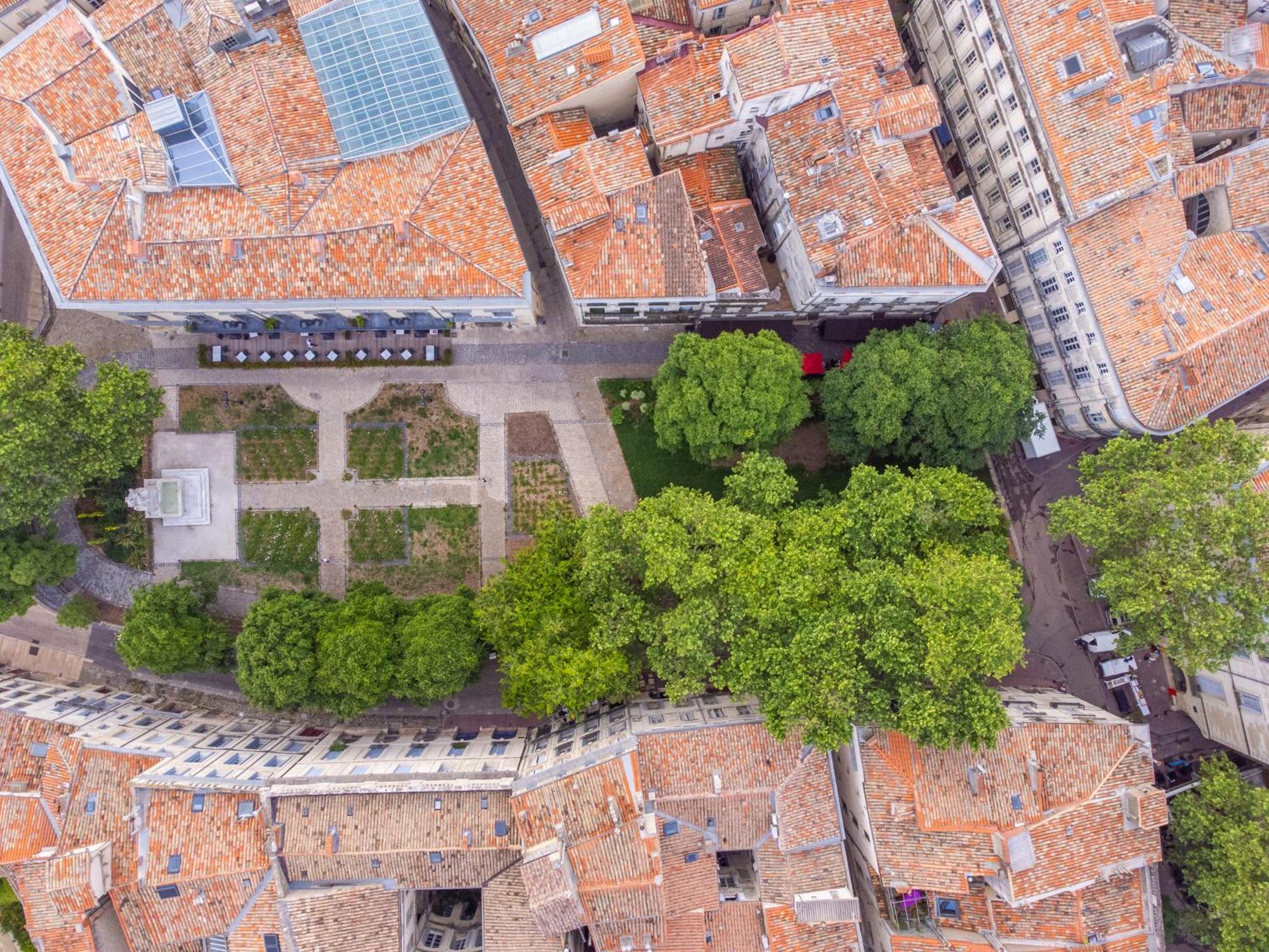 Le Platane De La Canourgue Montpellier Luaran gambar