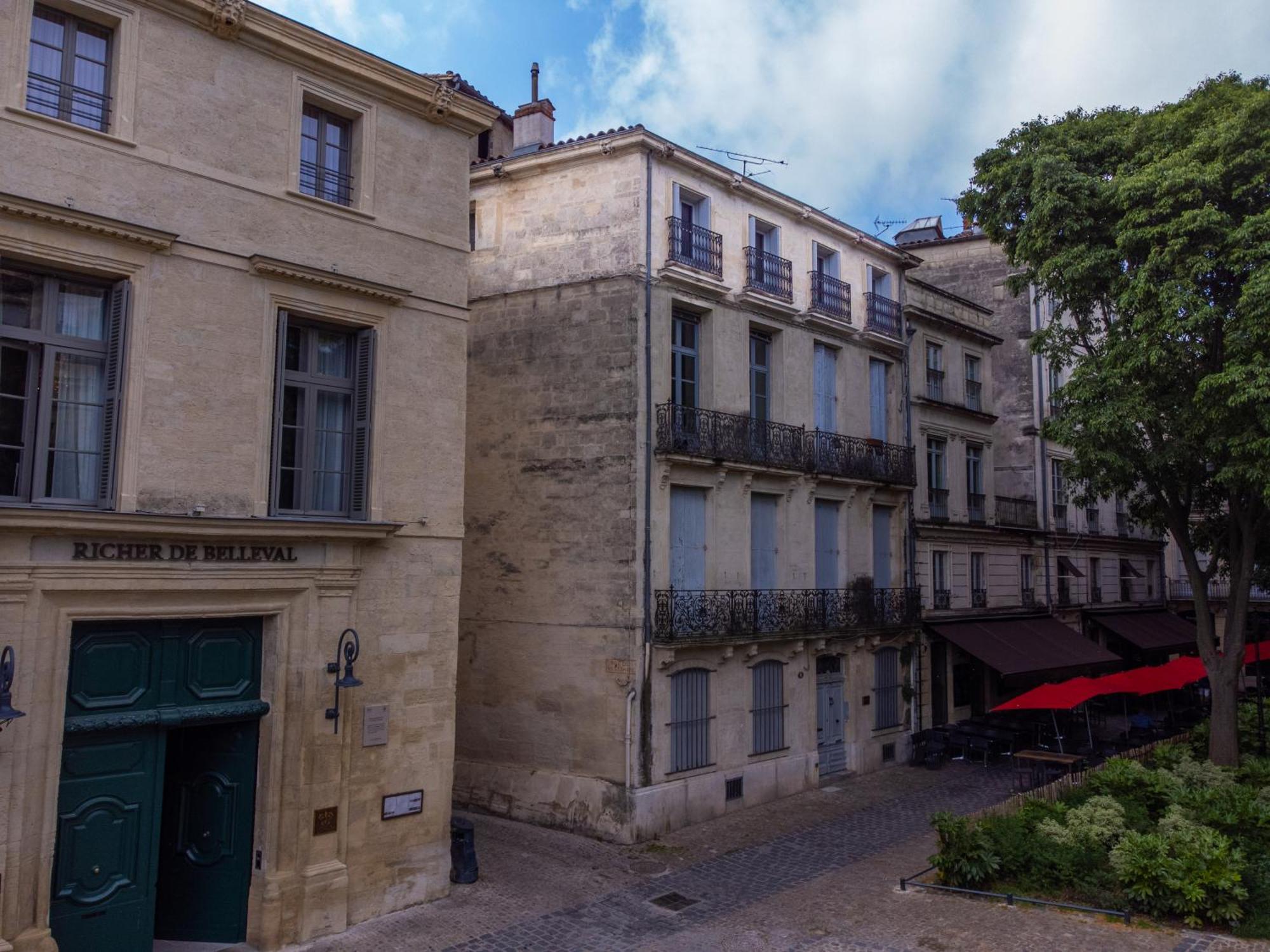 Le Platane De La Canourgue Montpellier Luaran gambar